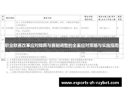 职业联赛改革应对降薪与赛制调整的全面应对策略与实施指南