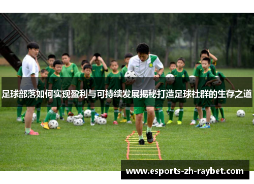 足球部落如何实现盈利与可持续发展揭秘打造足球社群的生存之道