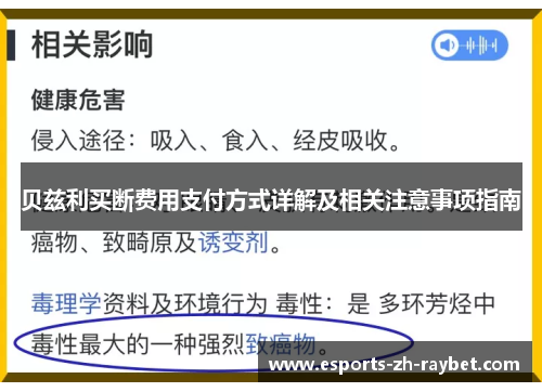 贝兹利买断费用支付方式详解及相关注意事项指南