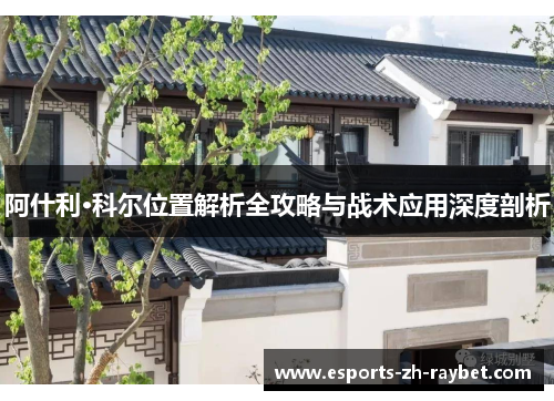 阿什利·科尔位置解析全攻略与战术应用深度剖析