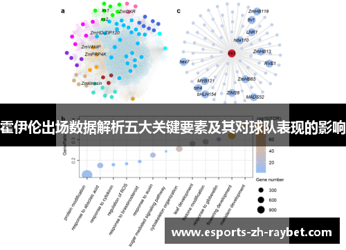 霍伊伦出场数据解析五大关键要素及其对球队表现的影响